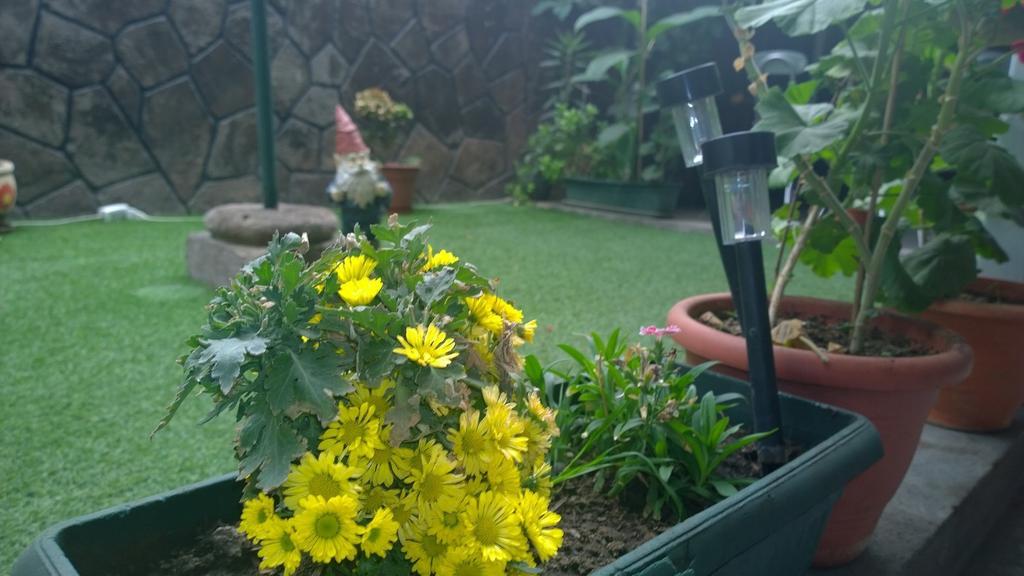 Bed & Breakfast Blumen Haus Сантьяго Екстер'єр фото