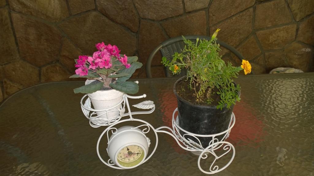 Bed & Breakfast Blumen Haus Сантьяго Екстер'єр фото